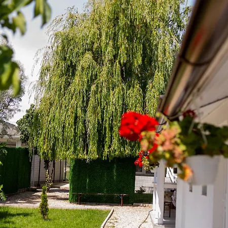 Mafmaf Tiny * Нэводари