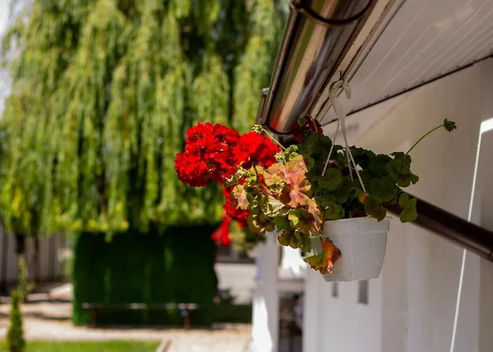 Mafmaf Tiny Tatil Evi *