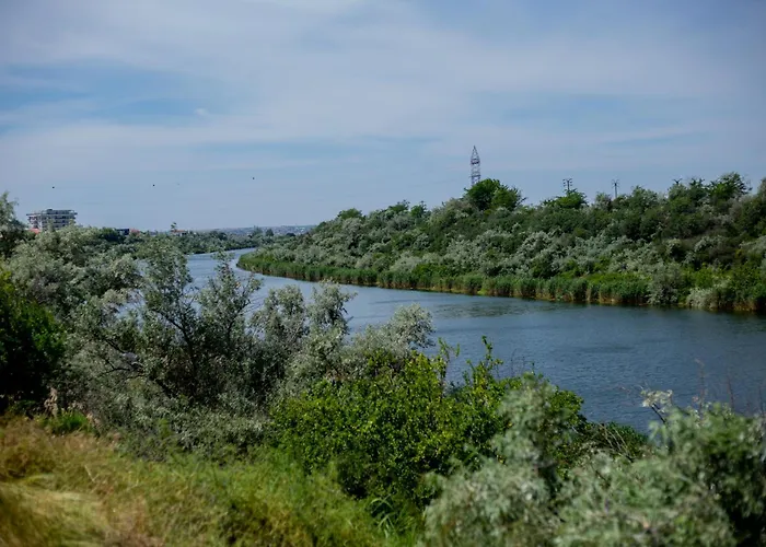 Mafmaf Tiny * Navodari