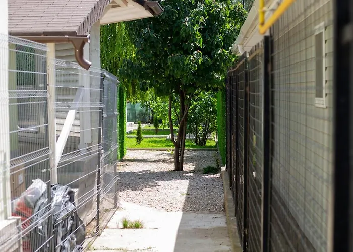 Mafmaf Tiny Tatil Evi