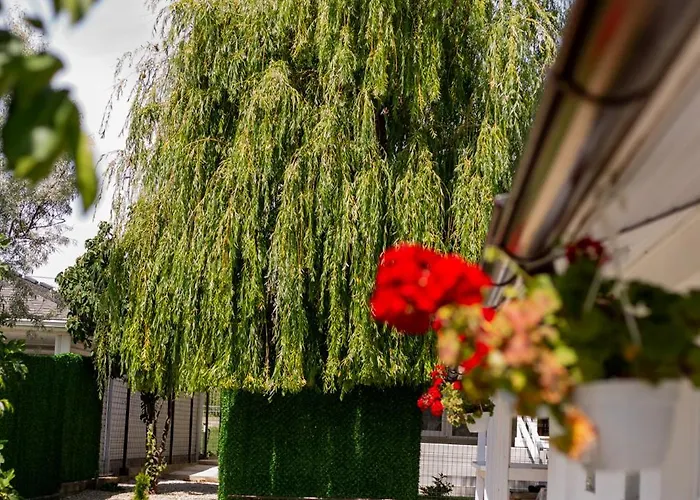 Tatil Evi Mafmaf Tiny