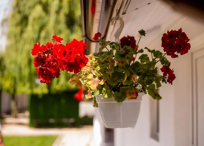 Mafmaf Tiny Tatil Evi *