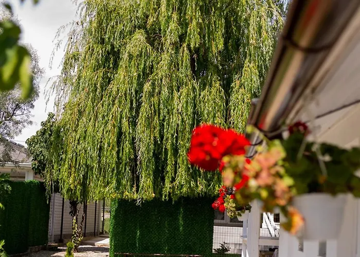 Mafmaf Tiny * Navodari