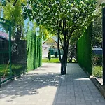 Mafmaf Tiny * Năvodari