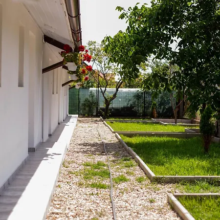 Mafmaf Tiny ナボダリ