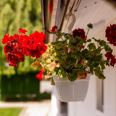 Mafmaf Tiny 別荘 *