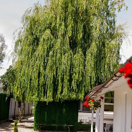 Mafmaf Tiny * ナボダリ