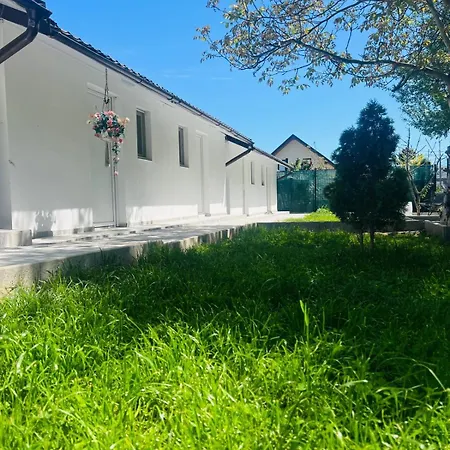 Mafmaf Tiny - Incasare Cu Card De Vacanta Tatil Evi Navodari